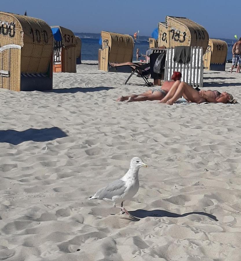 Penthouse Ferienwohnung Auszeit, Gerne Mit Hund, Wlan Inkl. Laboe Bagian luar foto